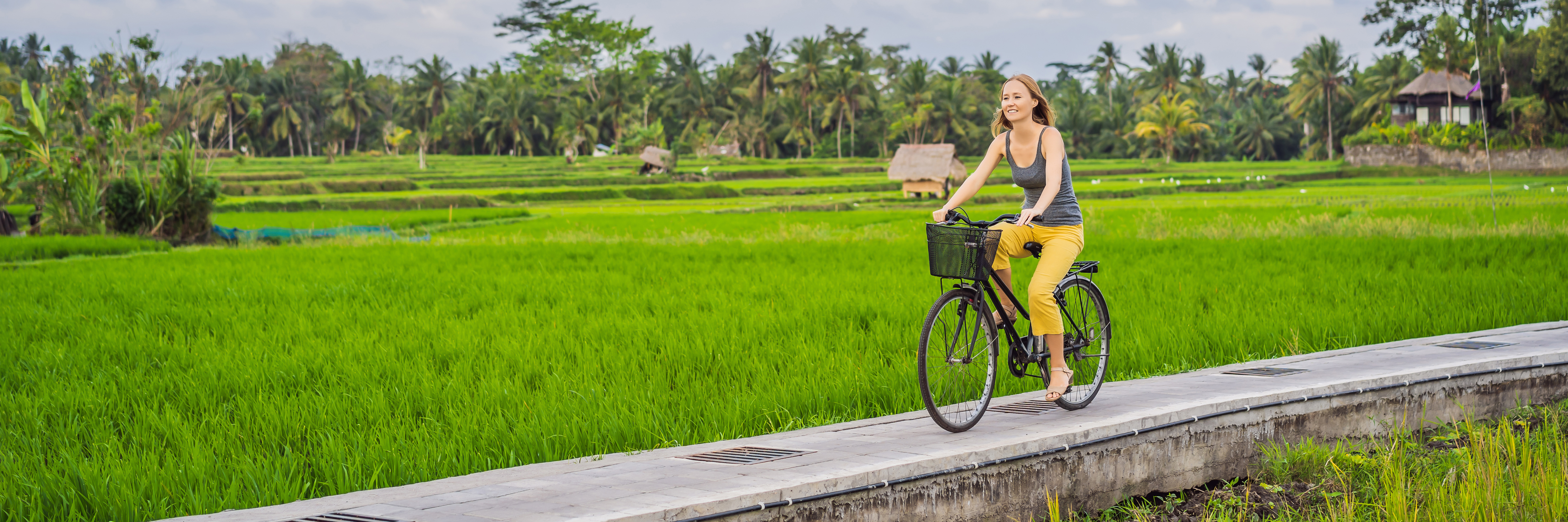 Shutterstock 1546168160