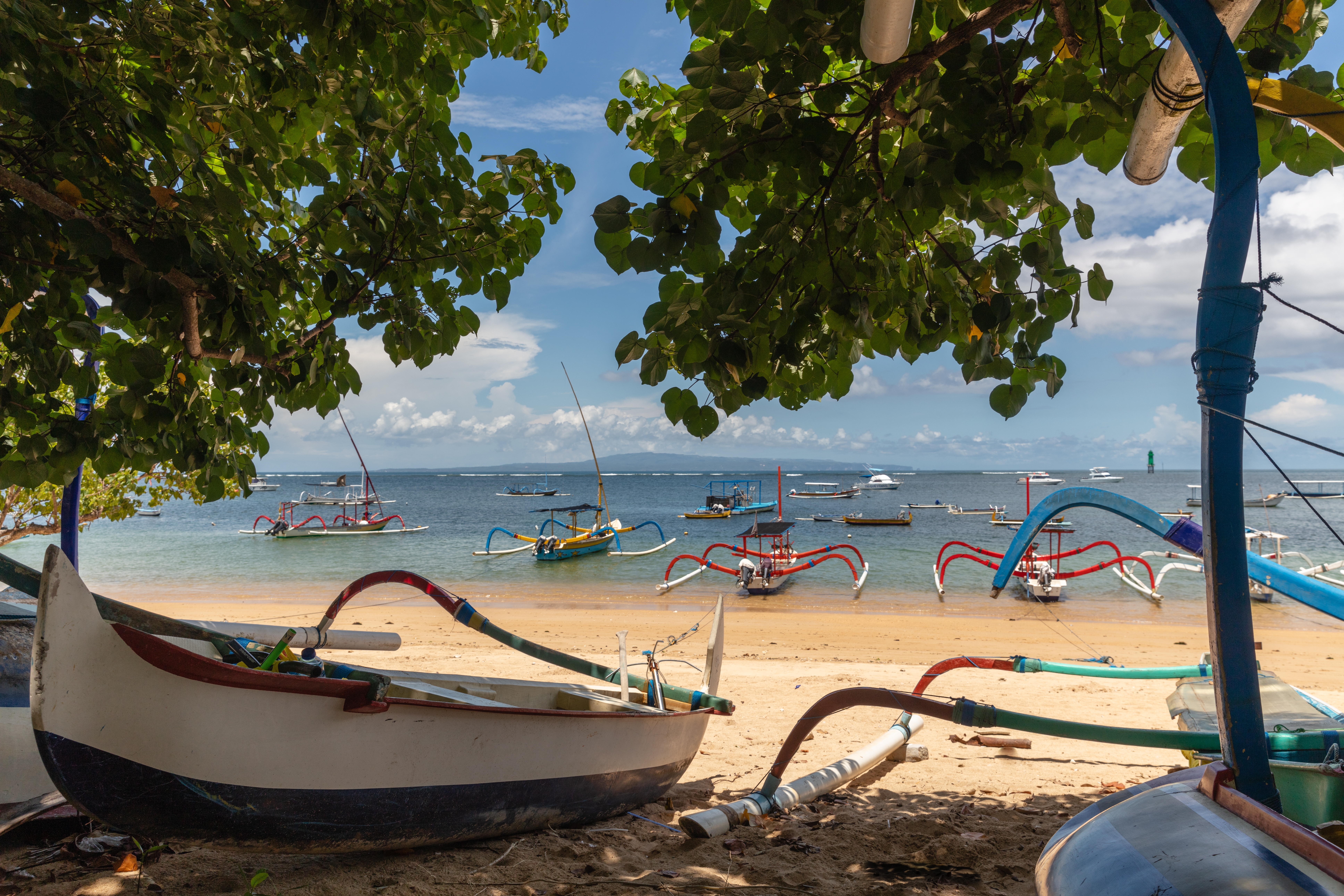 Shutterstock 2272828441