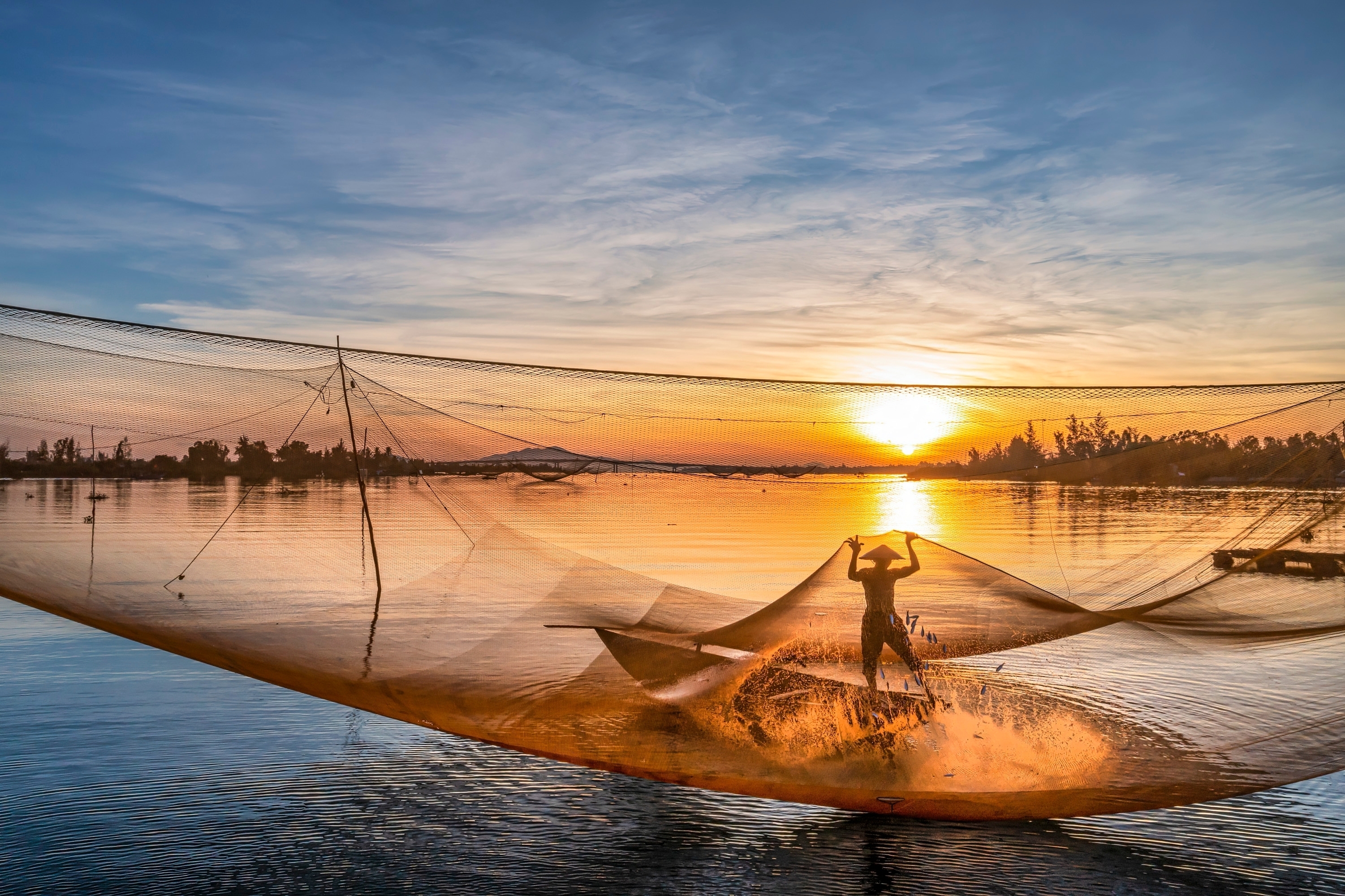 Shutterstock 2234334449